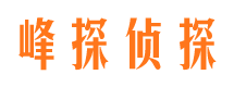 索县婚外情调查取证